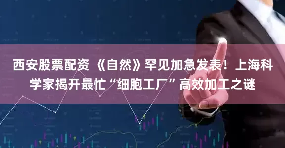 西安股票配资 《自然》罕见加急发表！上海科学家揭开最忙“细胞工厂”高效加工之谜