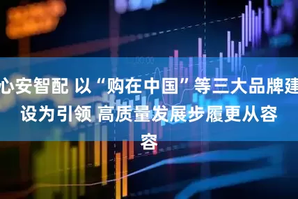 心安智配 以“购在中国”等三大品牌建设为引领 高质量发展步履更从容