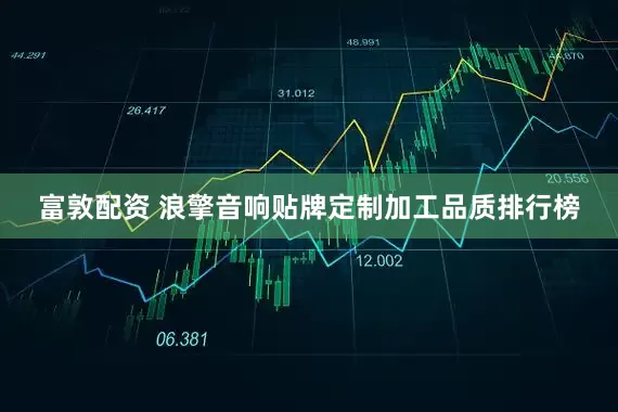 富敦配资 浪擎音响贴牌定制加工品质排行榜